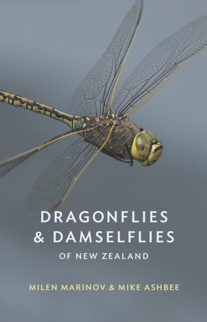 Dragonflies and Damselflies of New Zealand, Paperback / softback Book