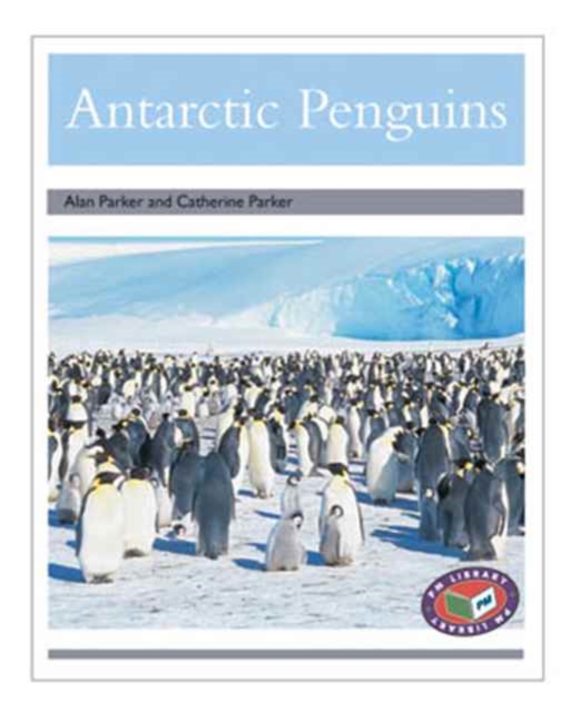 Antarctic Penguins, Paperback Book