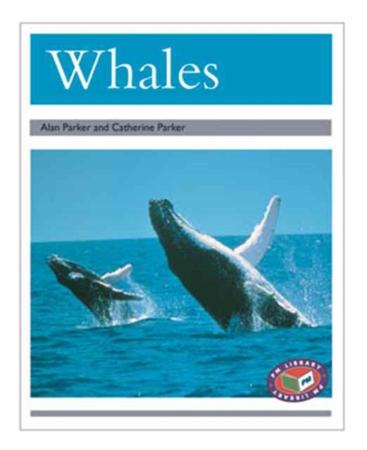 Whales, Paperback Book