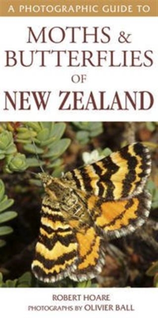 Photographic Guide to Moths & Butterflies of New Zealand, Paperback / softback Book