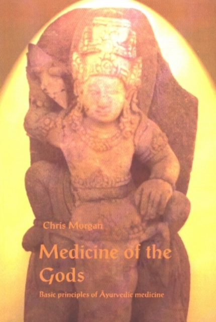 Medicine of the Gods : Basic Principles of Ayurvedic Medicine, 2nd Edition, Paperback / softback Book