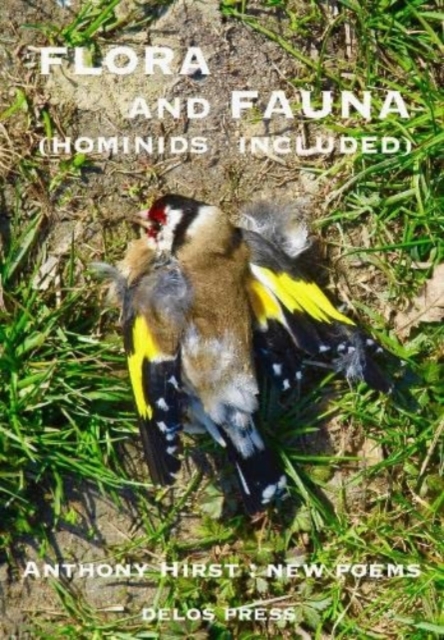 Flora and Fauna (Hominids Included), Paperback / softback Book