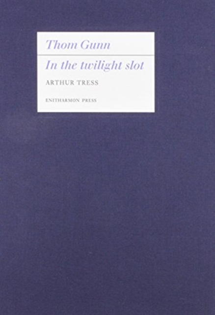 In the Twilight Slot, Leather / fine binding Book