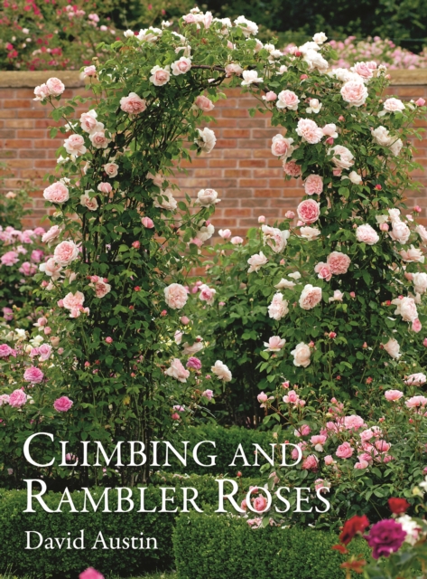 Climbing and Rambler Roses, Hardback Book
