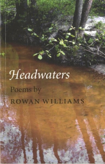 Headwaters : Poems, Paperback Book