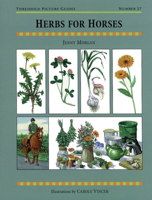 Herbs for Horses, Paperback / softback Book