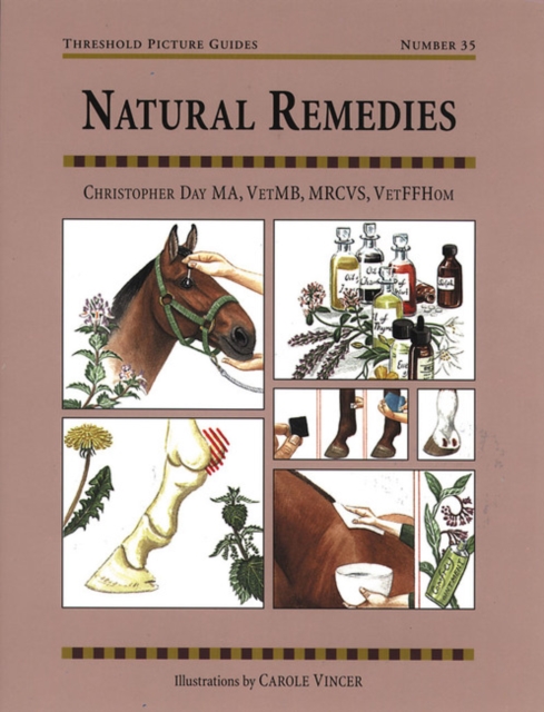 Natural Remedies for Common Ailments, Paperback / softback Book