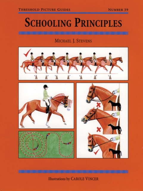 Schooling Principles, Paperback / softback Book