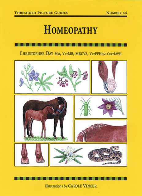 Homeopathy, Paperback / softback Book