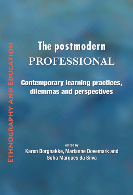 The Postmodern Professional : Contemporary Learning Practices, Dilemmas and Perspectives, Paperback / softback Book