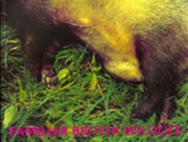 Familiar British Wildlife, Paperback / softback Book