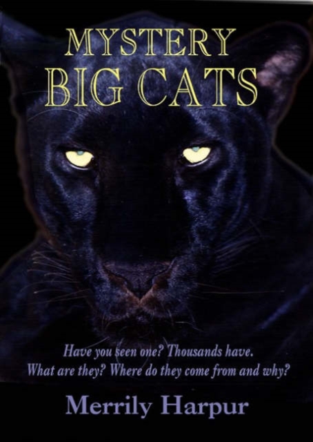 Mystery Big Cats, Paperback / softback Book