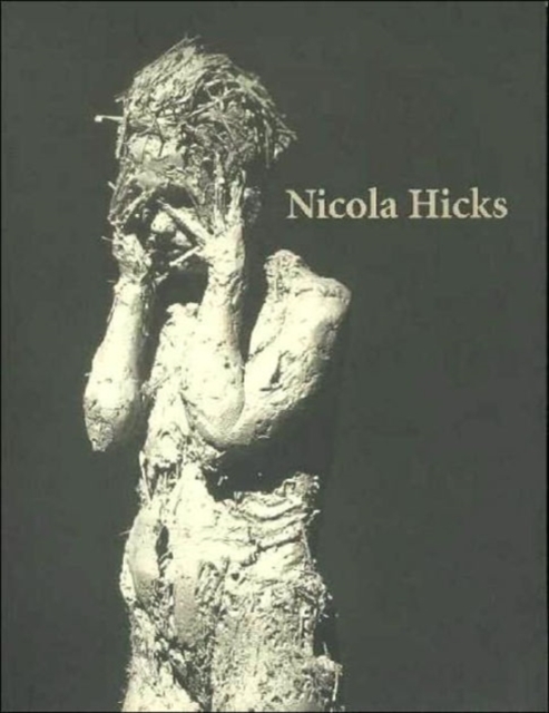 Nicola Hicks : 1999-Momentum, Paperback / softback Book