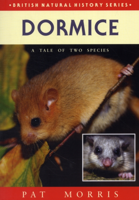 Dormice : A Tale of Two Species, Paperback / softback Book