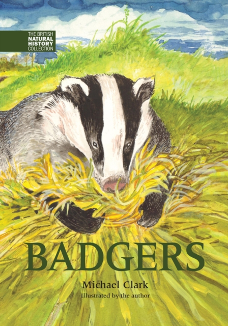 Badgers, Hardback Book