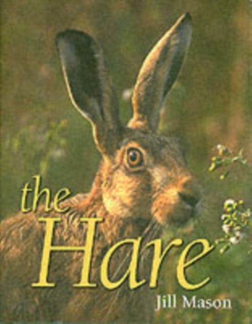 The Hare, Hardback Book