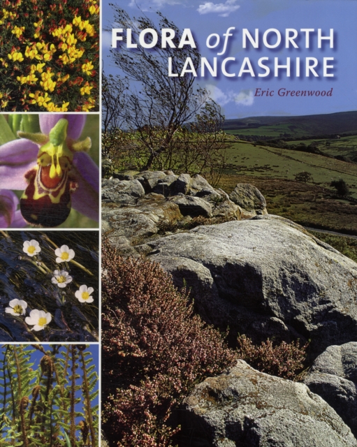 Flora of North Lancashire, Hardback Book
