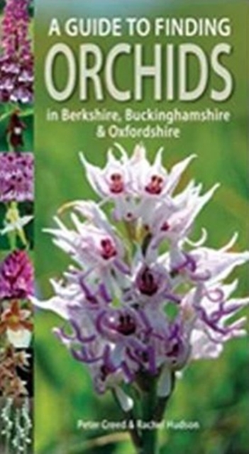A Guide to Finding Orchids in Berkshire, Buckinghamshire and Oxfordshire, Paperback / softback Book