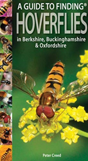 A Guide to Finding Hoverflies in Berkshire, Buckinghamshire and Oxfordshire, Paperback / softback Book