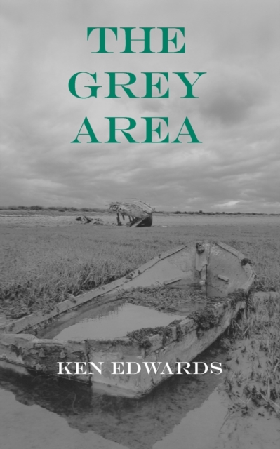 The Grey Area, Paperback / softback Book