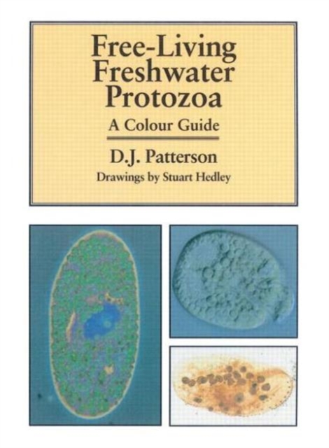 Freeliving Freshwater Protozoa, Paperback / softback Book