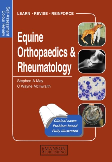 Equine Orthopaedics and Rheumatology : Self-Assessment Color Review, Paperback / softback Book