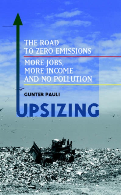 UpSizing : The Road to Zero Emissions: More Jobs, More Income and No Pollution, Hardback Book