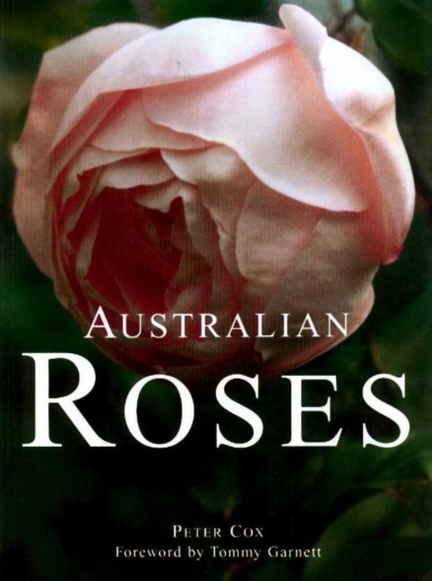 Australian Roses, Paperback / softback Book