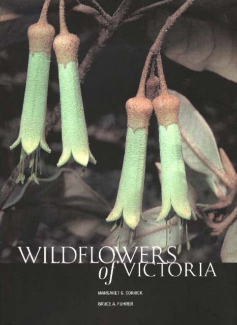 Wildflowers of Victoria, Hardback Book