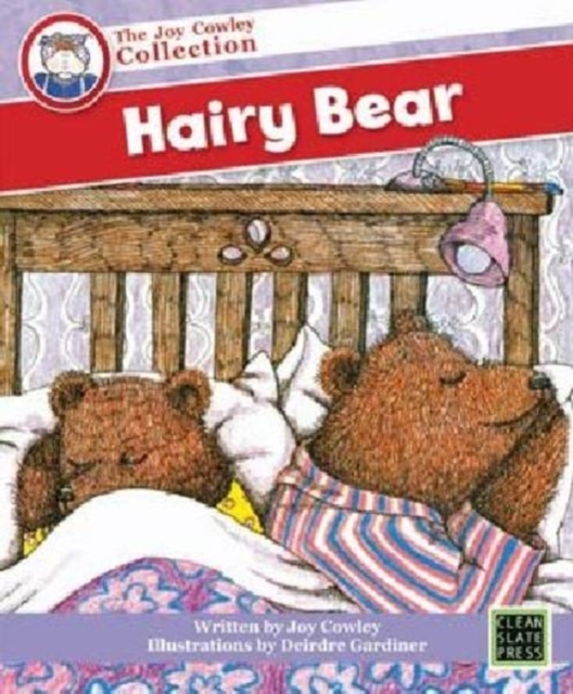 HAIRY BEAR, Paperback Book