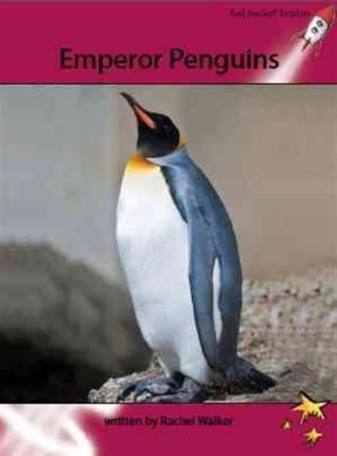Red Rocket Readers : Advanced Fluency 3 Non-Fiction Set A: Emperor Penguins, Paperback / softback Book
