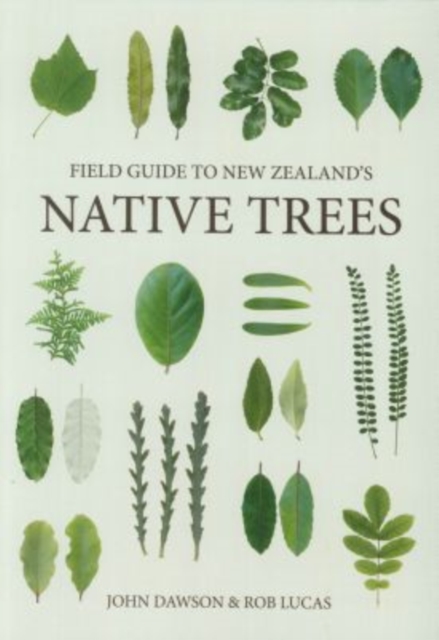 Field Guide to New Zealand's Native Trees, Paperback / softback Book