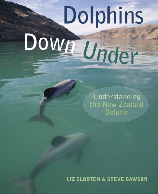 Dolphins Down Under : Understanding the New Zealand Dolphin, Paperback / softback Book