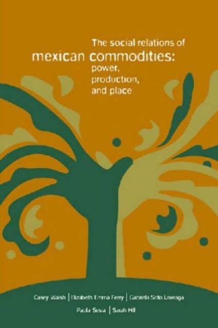 Social Relations of Mexican Commodities : Power, Production, and Place, Paperback / softback Book