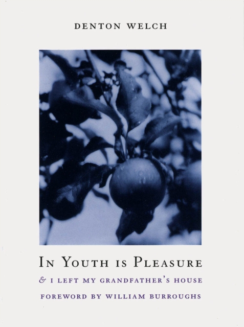 In Youth Is Pleasure : & I LEFT MY GRANDFATHER'S HOUSE, Paperback / softback Book