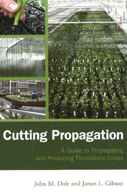 Cutting Propagation : A Guide to Propagating and Producing Floriculture Crops, Hardback Book