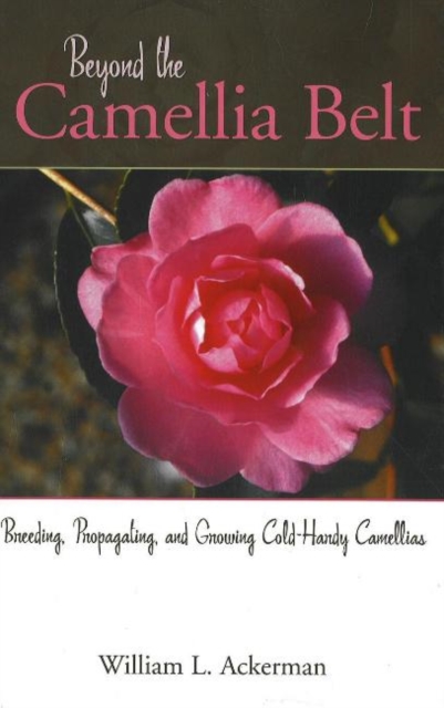 Beyond the Camellia Belt : Breeding, Propagating, and Growing Cold-Hardy Camellias, Hardback Book