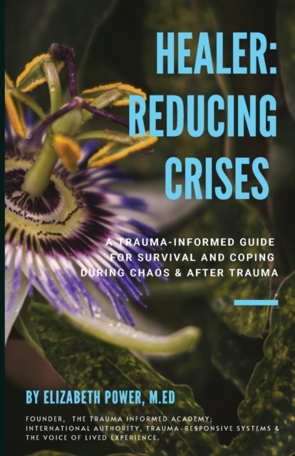 Healer : Reducing Crises: Reducing Crises, Paperback / softback Book