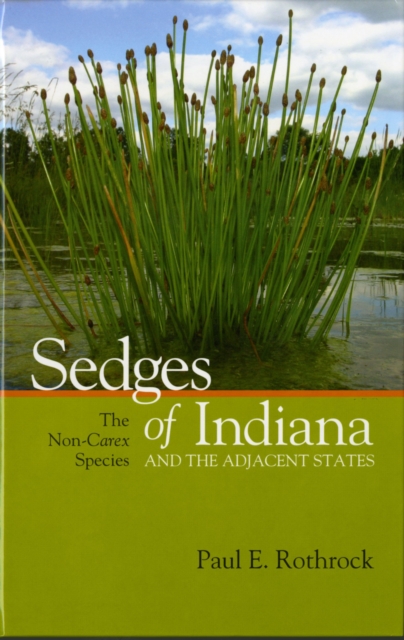 Sedges of Indiana and the Adjacent States : The Non-Carex Species, Hardback Book
