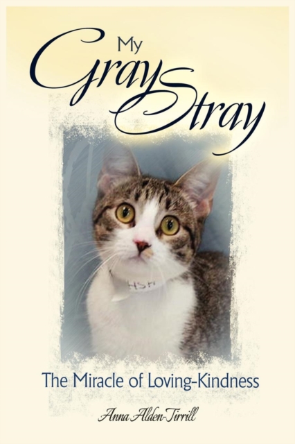 My Gray Stray, Paperback Book