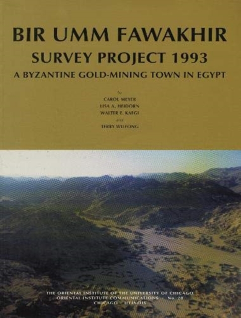 Bir Umm Fawakhir Survey Project 1993 : A Byzantine Gold-Mining Town in Egypt, Paperback / softback Book