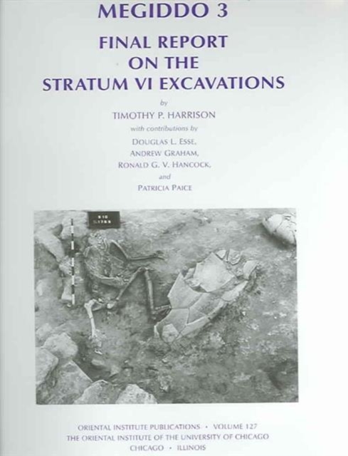Megiddo 3 : Final Report on the Stratum VI Excavations, Hardback Book