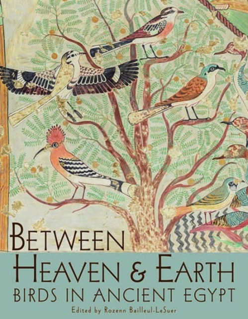Between Heaven and Earth : Birds in Ancient Egypt, Paperback / softback Book