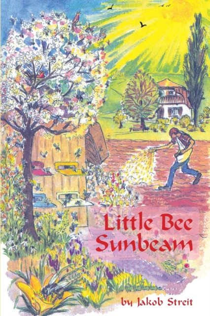 Little Bee Sunbeam, Paperback / softback Book