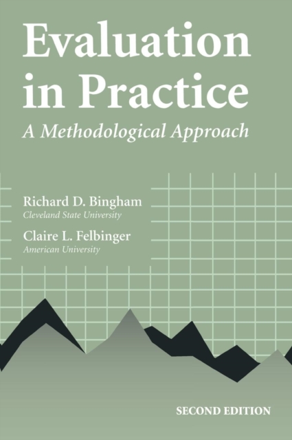 Evaluation in Practice : A Methodological Approach, Hardback Book