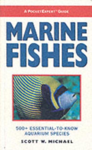 Marine Fishes : 500+ Essential-to-know Aquarium Species, Paperback / softback Book