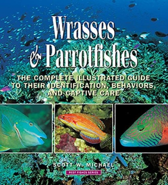 Wrasses and Parrotfishes, Hardback Book