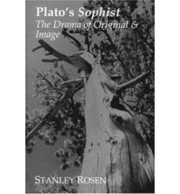 Plato`s Sophist, Paperback / softback Book