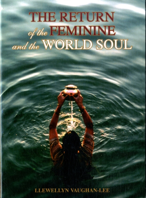 The Return of the Feminine and the World Soul, Paperback / softback Book
