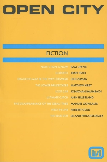 Open City : Fiction/Nonfiction, Paperback / softback Book